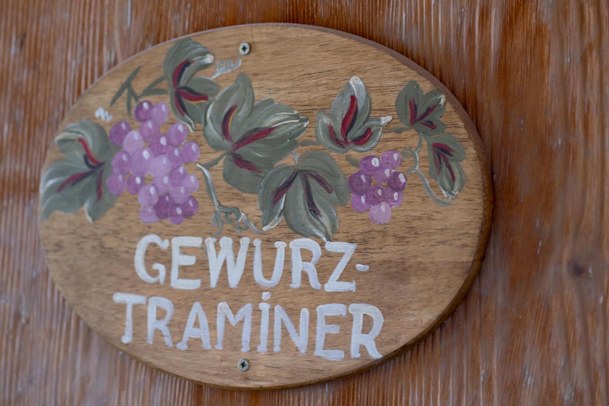Gewurztraminer - Studio Au Pied Du Vignoble - Renove Recemment - Parking Gratuit Риквир Екстериор снимка