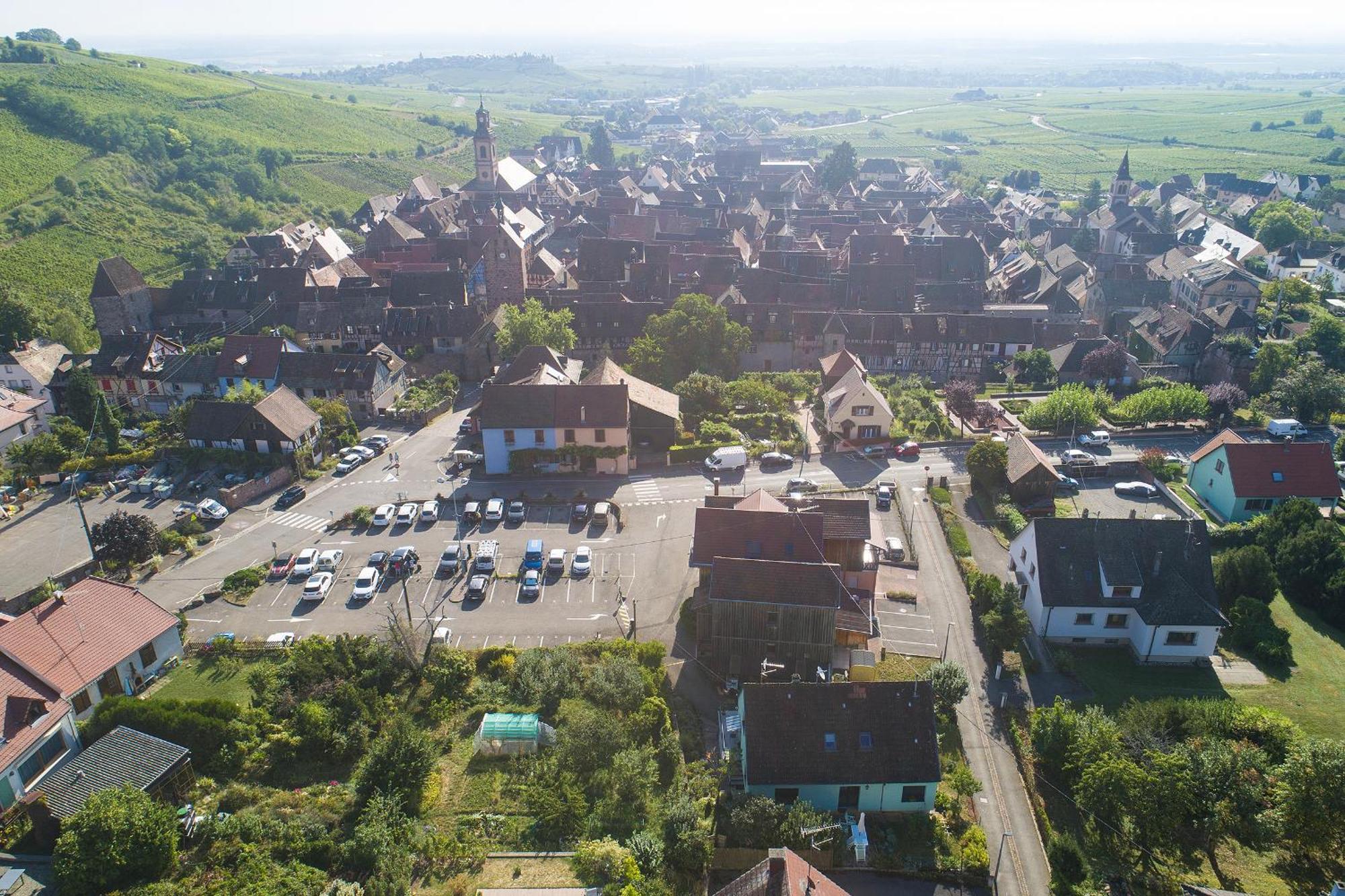 Gewurztraminer - Studio Au Pied Du Vignoble - Renove Recemment - Parking Gratuit Риквир Екстериор снимка